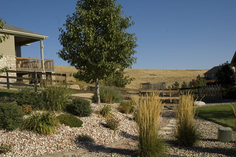 A finished landscape design with flagstone path, ornamental grasses, trees and landscaping rock